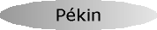 Rsum de Pkin.