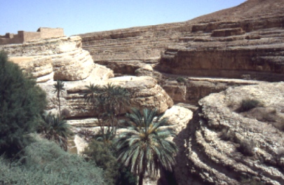 Une oasis montagnarde comme dans un livre d'images.